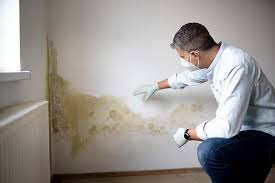 Best Mold Remediation for Rental Properties  in Belle Isle, FL